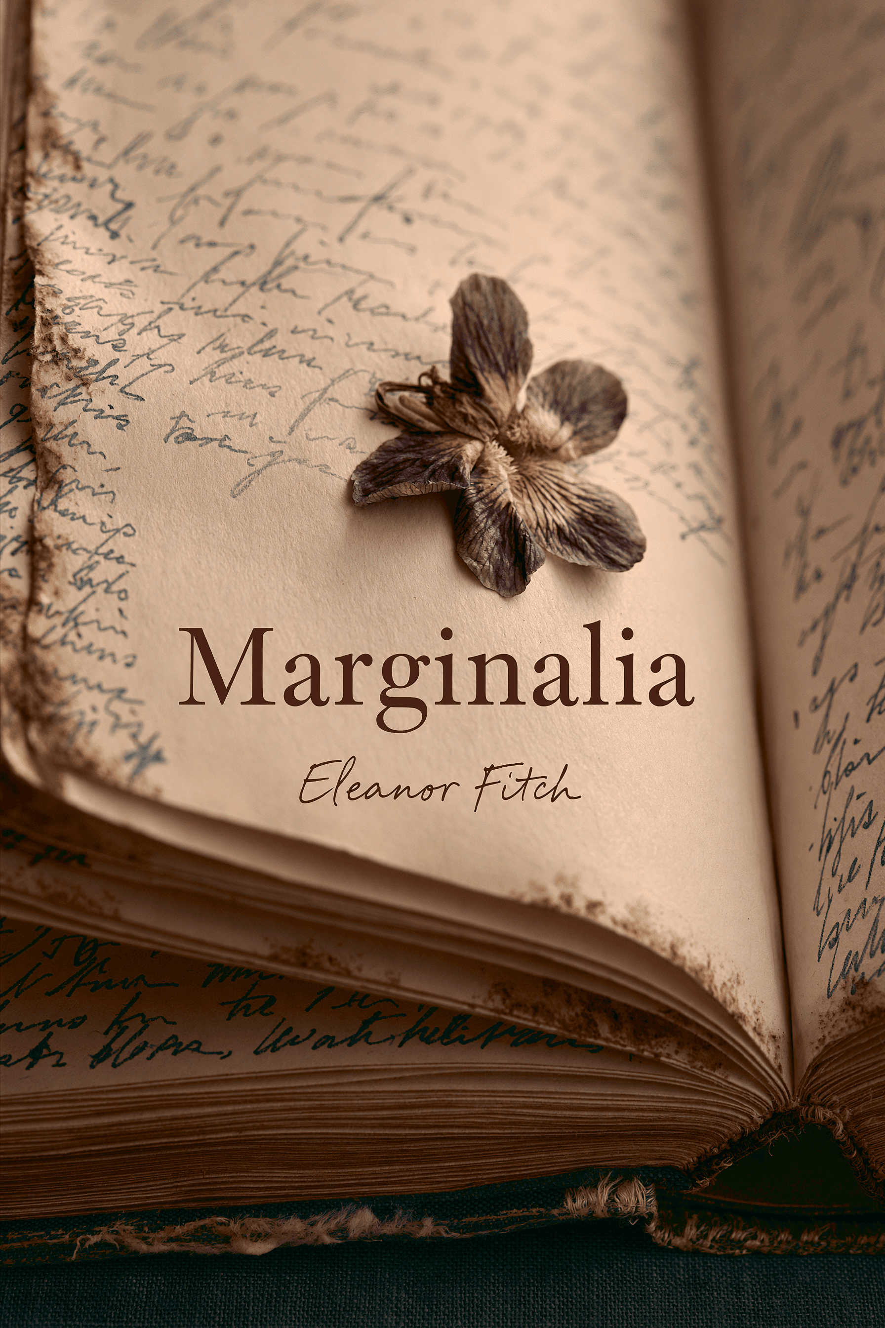Marginalia — Eleanor Fitch